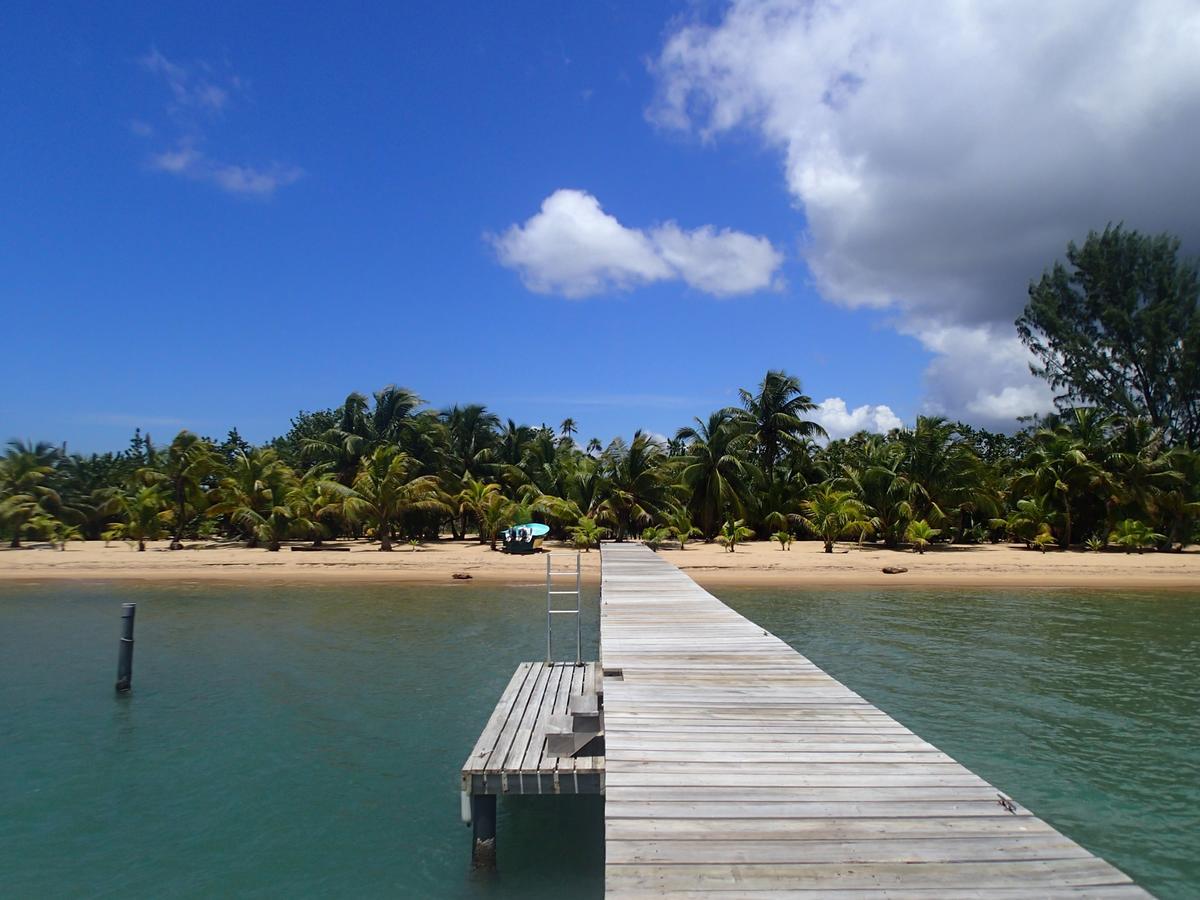 Sabal Beach Hotel Monkey River Town Екстериор снимка