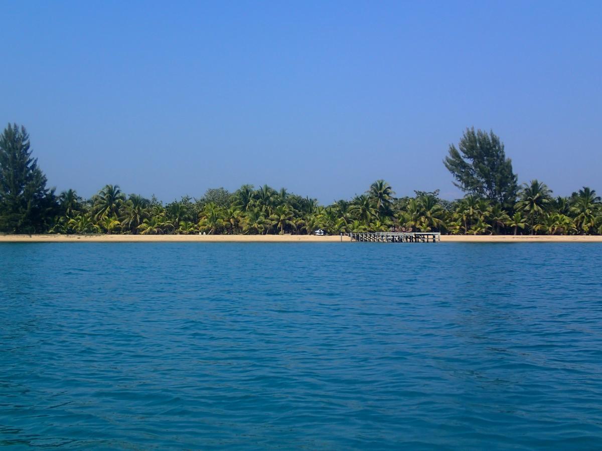 Sabal Beach Hotel Monkey River Town Екстериор снимка